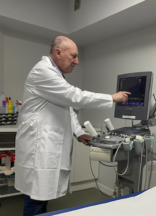 Dr. Castanedo